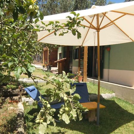 Вилла Ecobosque Nadadouro Экстерьер фото