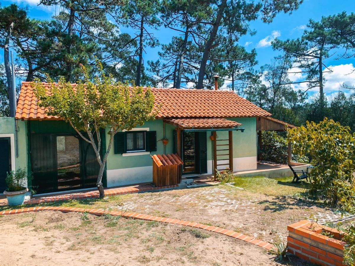 Вилла Ecobosque Nadadouro Экстерьер фото