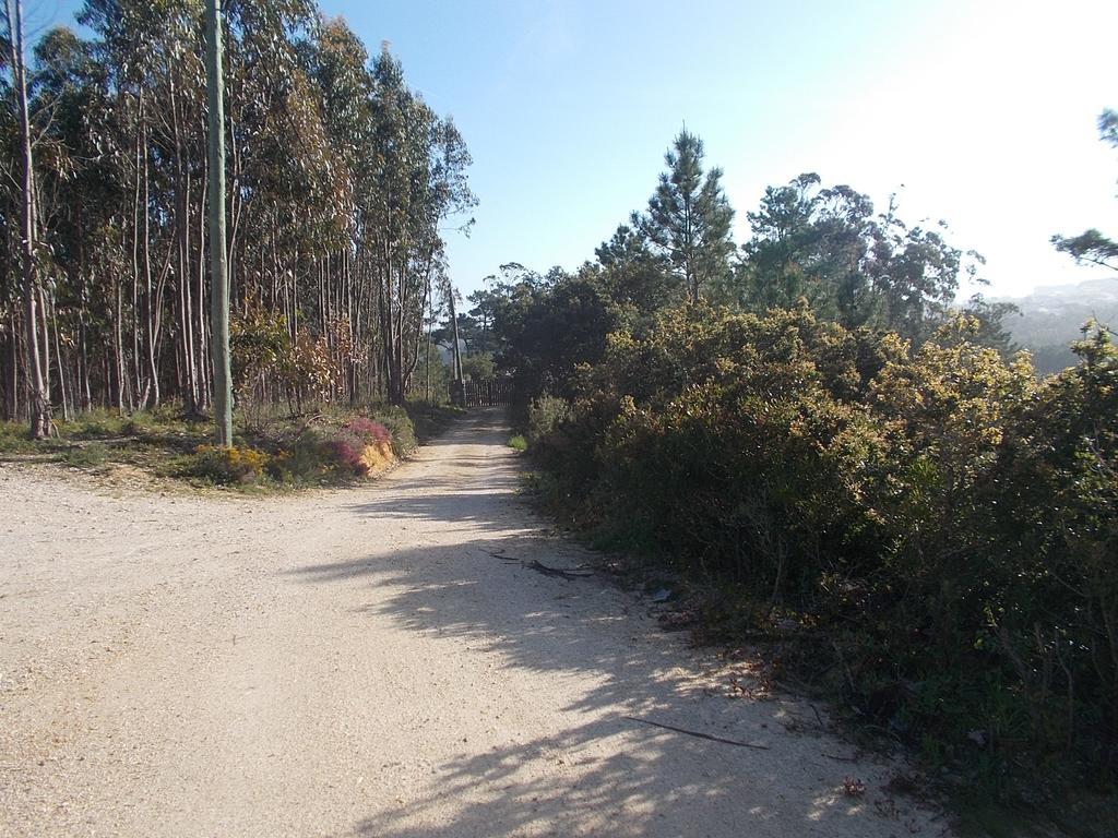 Вилла Ecobosque Nadadouro Экстерьер фото