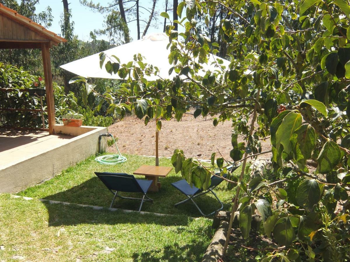Вилла Ecobosque Nadadouro Экстерьер фото